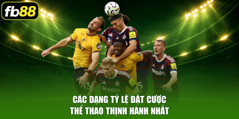Các dạng tỷ lệ đặt cược thể thao thịnh hành nhất