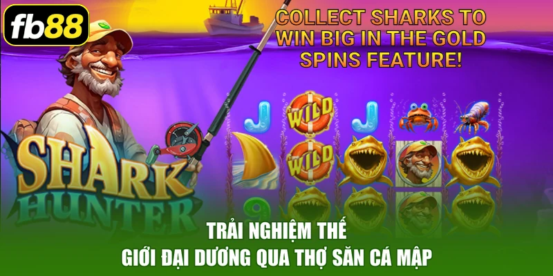 Trải nghiệm thế giới đại dương qua thợ săn cá mập